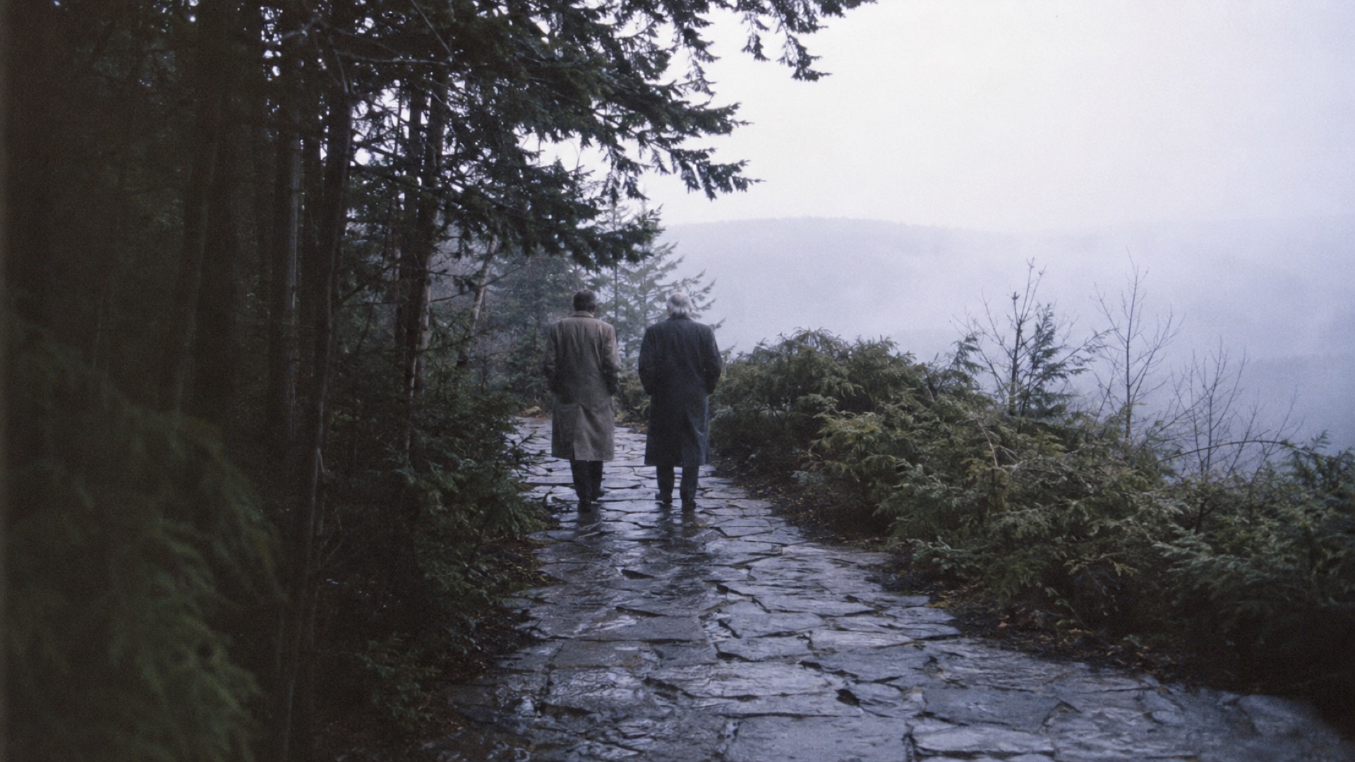 Two figures walking along a forest path.